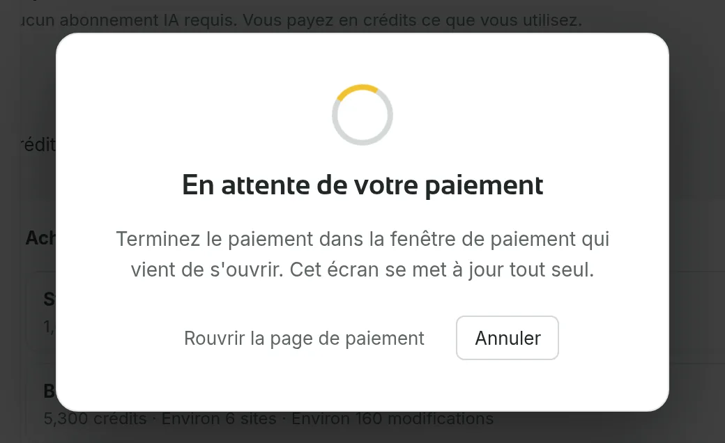 L’écran d’attente du paiement, affiché pendant que la fenêtre de paiement est ouverte