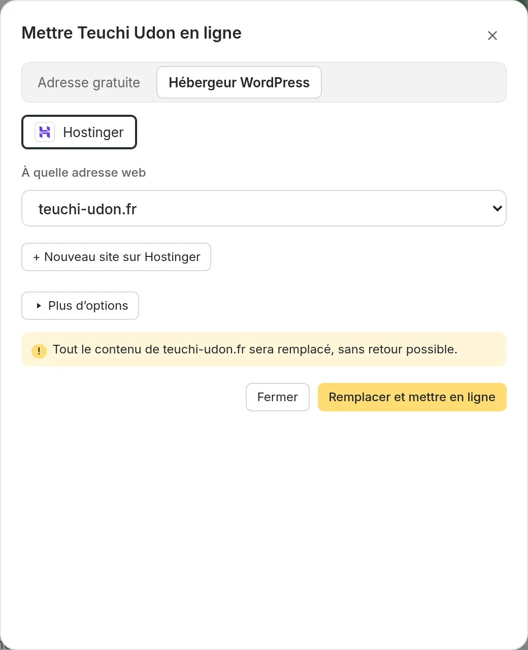 La fenêtre Mettre en ligne pour Teuchi Udon chez Hostinger, avec l’adresse teuchi-udon.jp et l’avertissement que tout y sera remplacé.